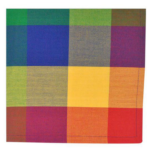 Primary Plaid Cotton Napkin