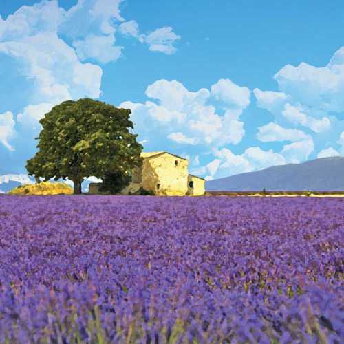 Provence Lavender Paper Cocktail Napkins