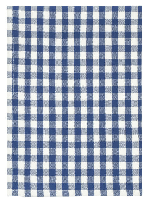 Blue Check Picnic Dish Towel