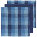 Blue Checked Waffle Weave Dishcloth Set