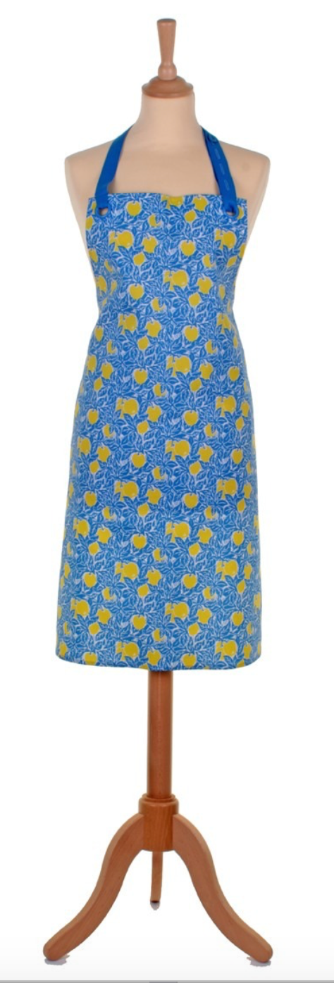 pretty-blue-yellow-pvc-apron