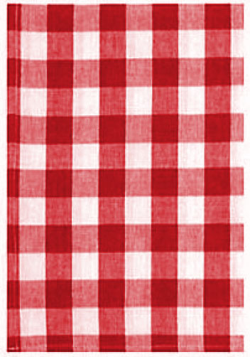 Red Picnic Check Dish Towel